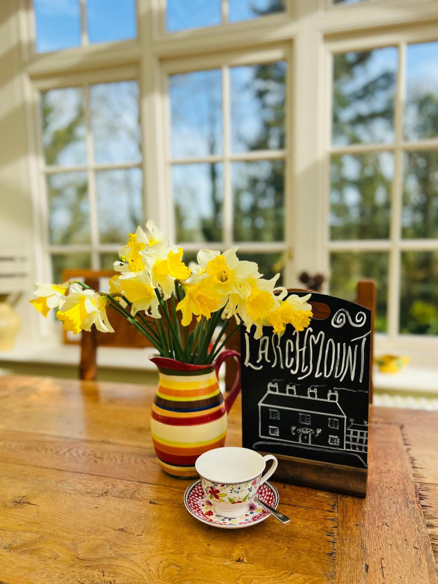 لندنديري Larchmount House B&B المظهر الخارجي الصورة